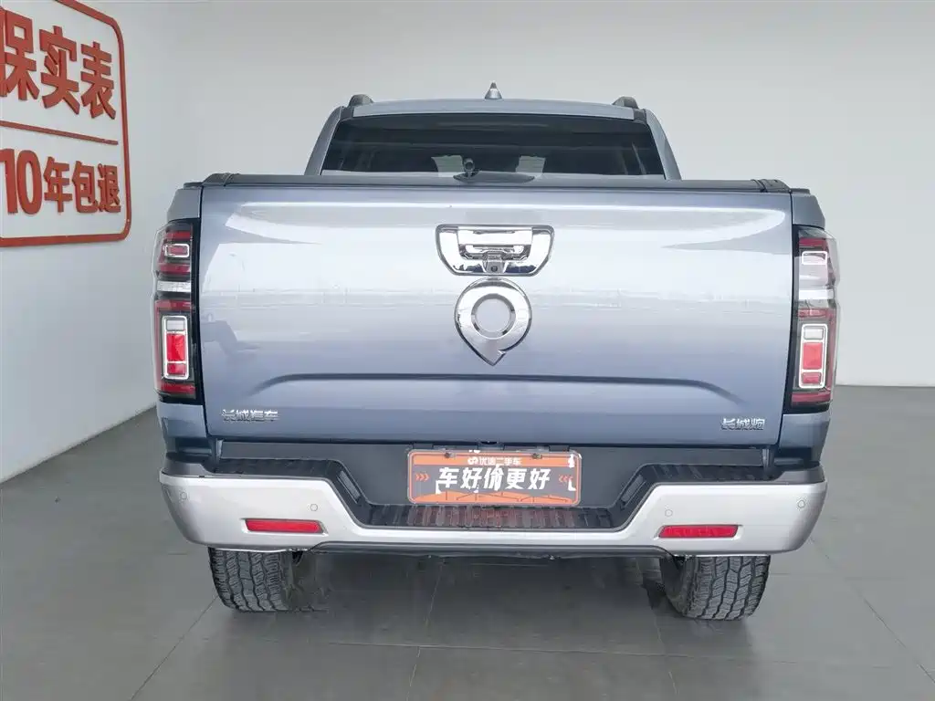 Cannon 2021 2.0T passenger global version automatic gasoline four-wheel drive exclusive standard box GW4C20B купить на сайте DeffCars