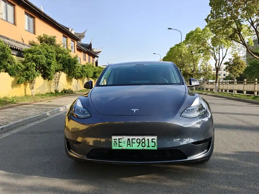 Model Y 2022 rear-wheel drive version купить на сайте DeffCars