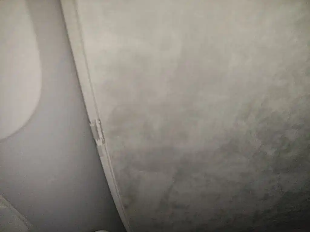 Model Y 2023 rear-wheel drive купить на сайте DeffCars