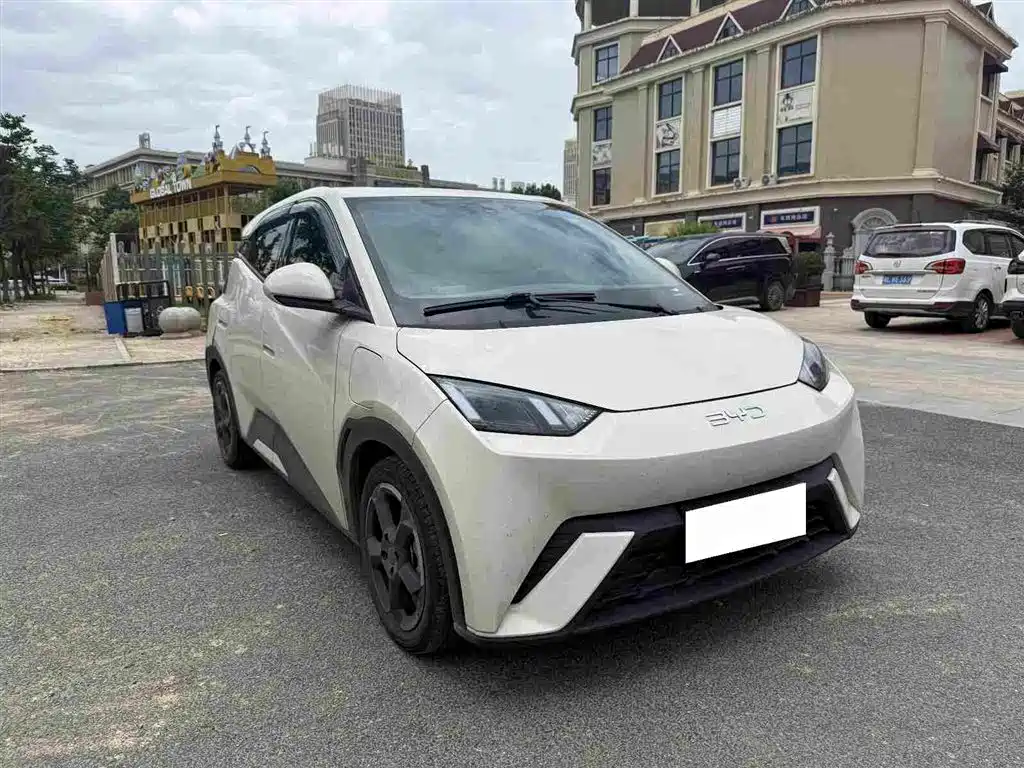 Seagull 2024 Honor Edition 305km Free Edition купить на сайте DeffCars