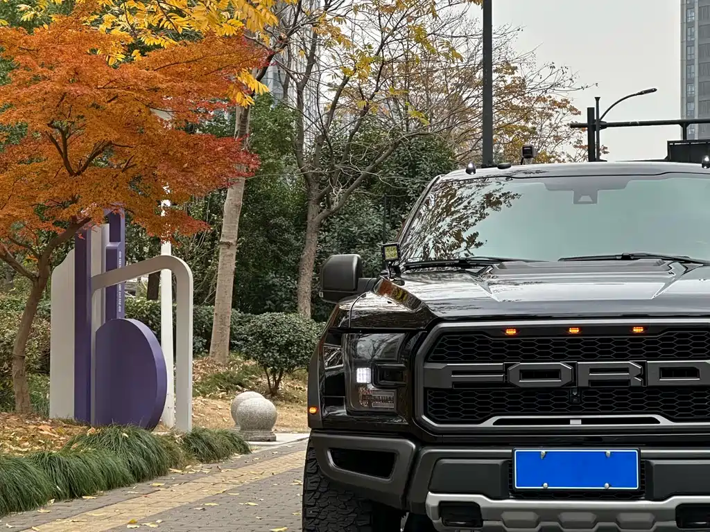 Ford F-150 Raptor 2018 3.5T Raptor Performance Enhanced Edition купить на сайте DeffCars