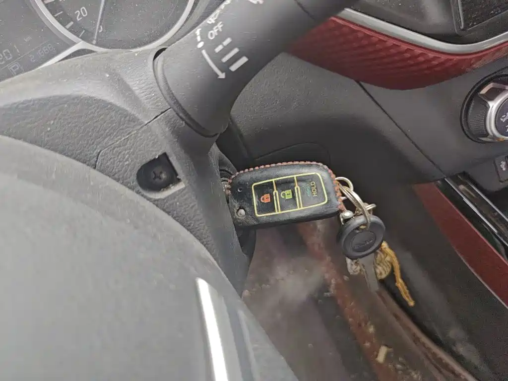 Bluebird 2020 1.6L CVT cool version купить на сайте DeffCars