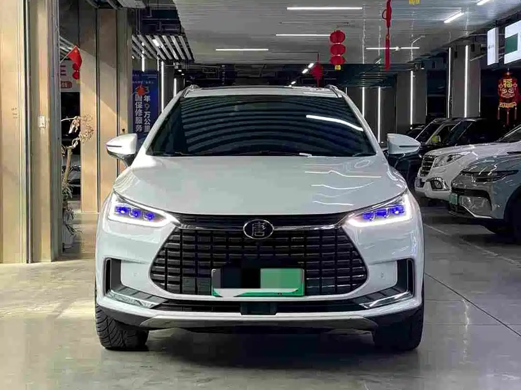 Tangxin Energy 2019 EV600D four-wheel drive intelligent joint innovation model купить на сайте DeffCars