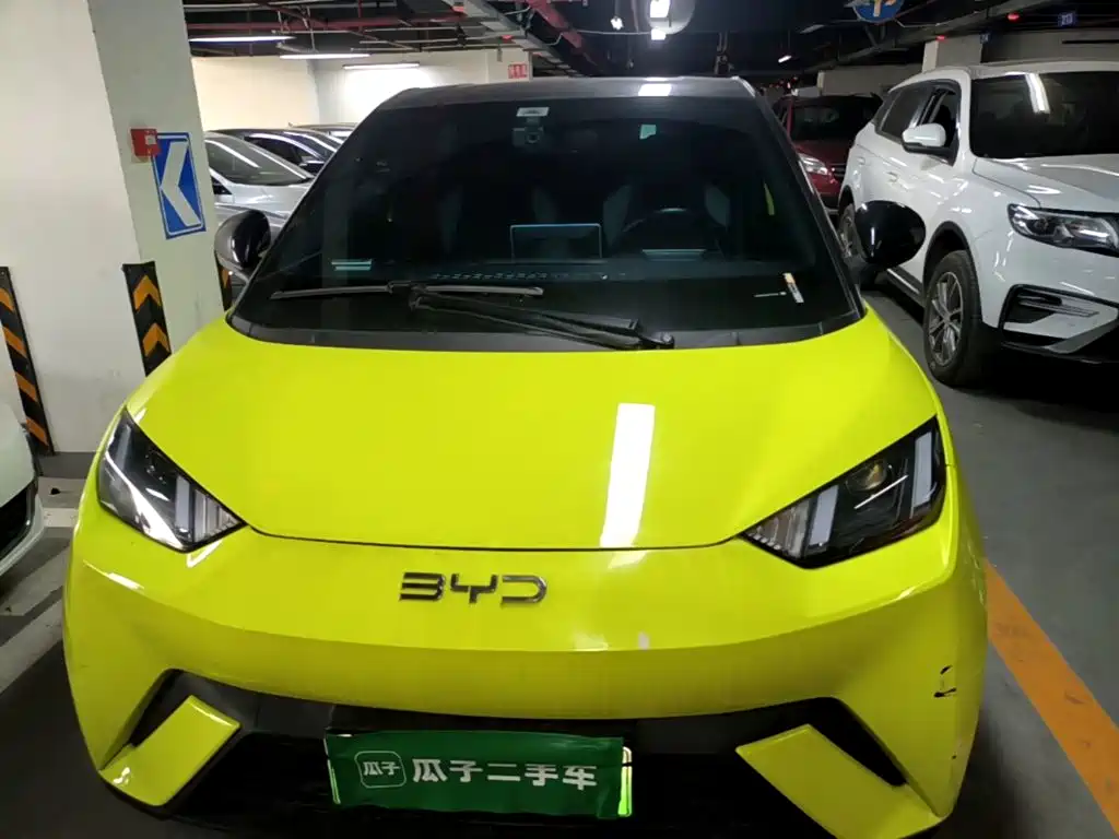 Seagull 2023 Vitality Edition купить на сайте DeffCars