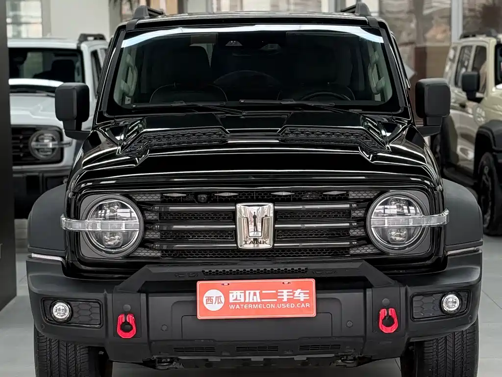 Tank 300 2021 Off-Road Version 2.0T Conqueror купить на сайте DeffCars