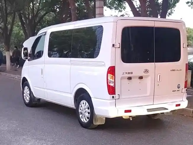 Xintu V80 2020 2.0T AMT PLUS City Edition Short Axis Ultra Low Roof 5/6 Seats купить на сайте DeffCars