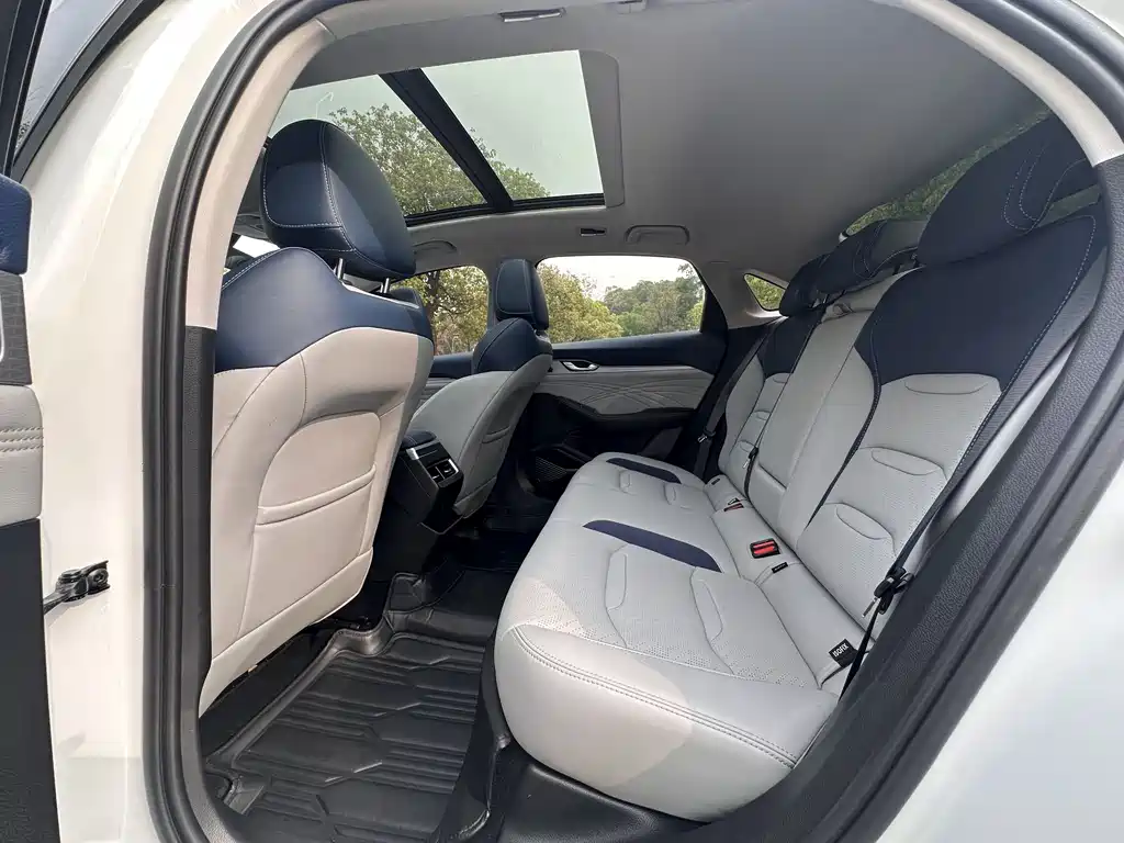 Xingrui 2023 2.0TD Premium Model купить на сайте DeffCars