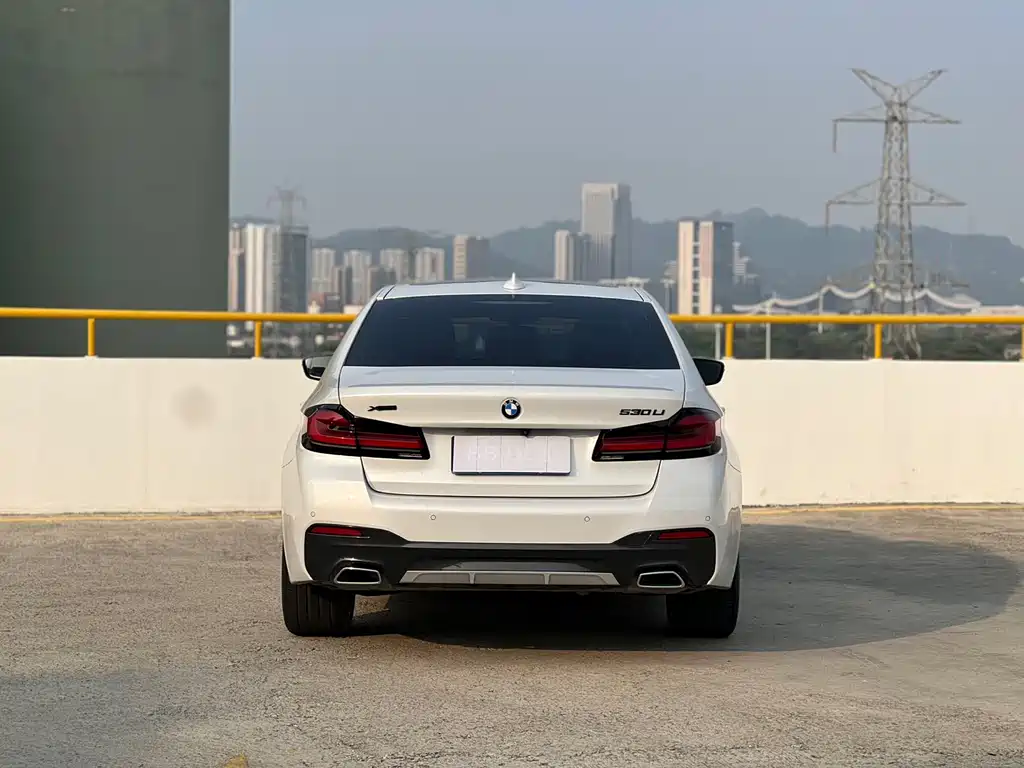 BMW 5 Series 2021 530Li Leading M Sports Package купить на сайте DeffCars