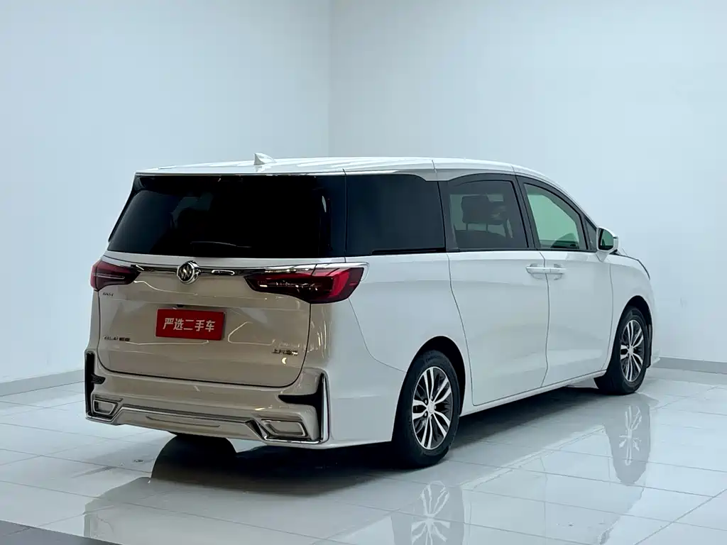 Buick GL8 2020 ES Lu Zun 653T Comfort Type купить на сайте DeffCars