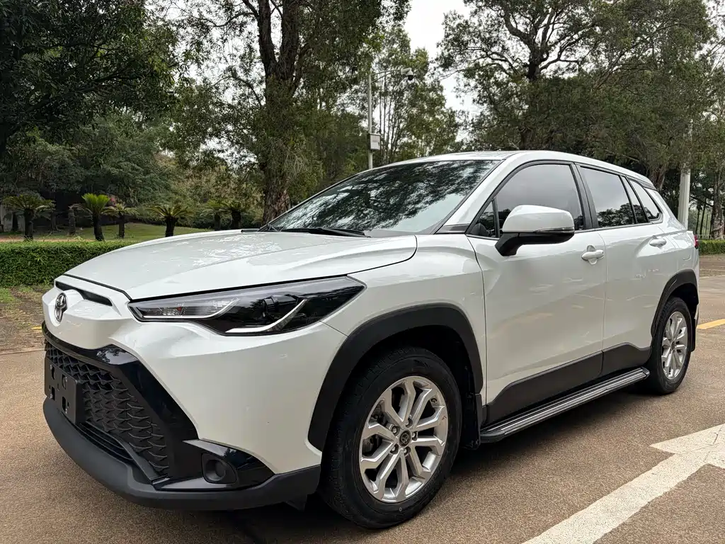 Fenglanda 2023 2.0L CVT Elite Edition купить на сайте DeffCars