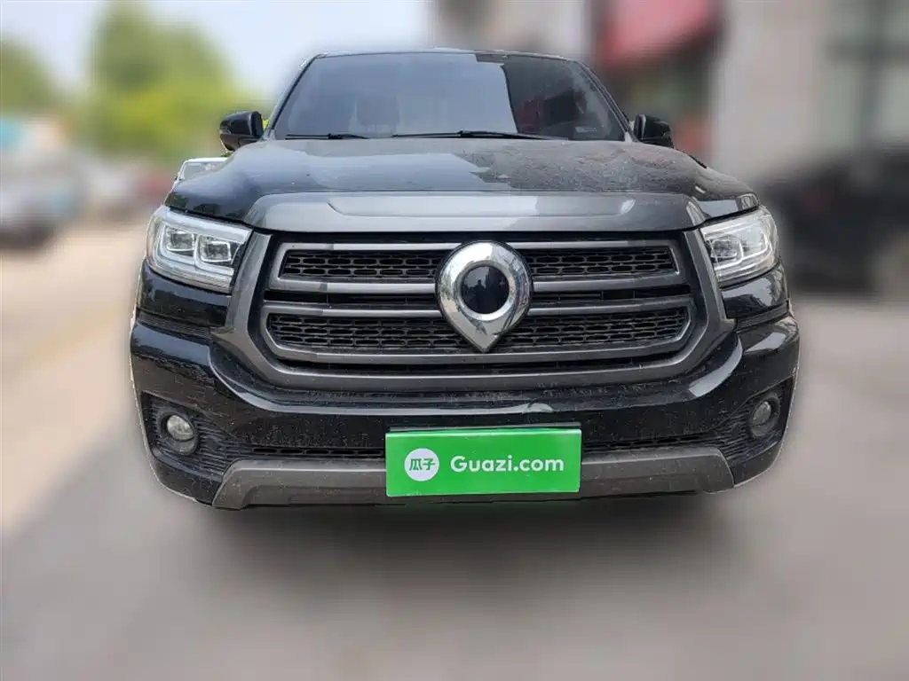 Cannon 2023 2.0T passenger version automatic diesel two-wheel drive comfort model GW4D20M купить на сайте DeffCars