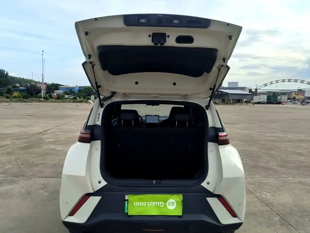 Seagull 2024 Honor Edition 305km Vitality купить на сайте DeffCars