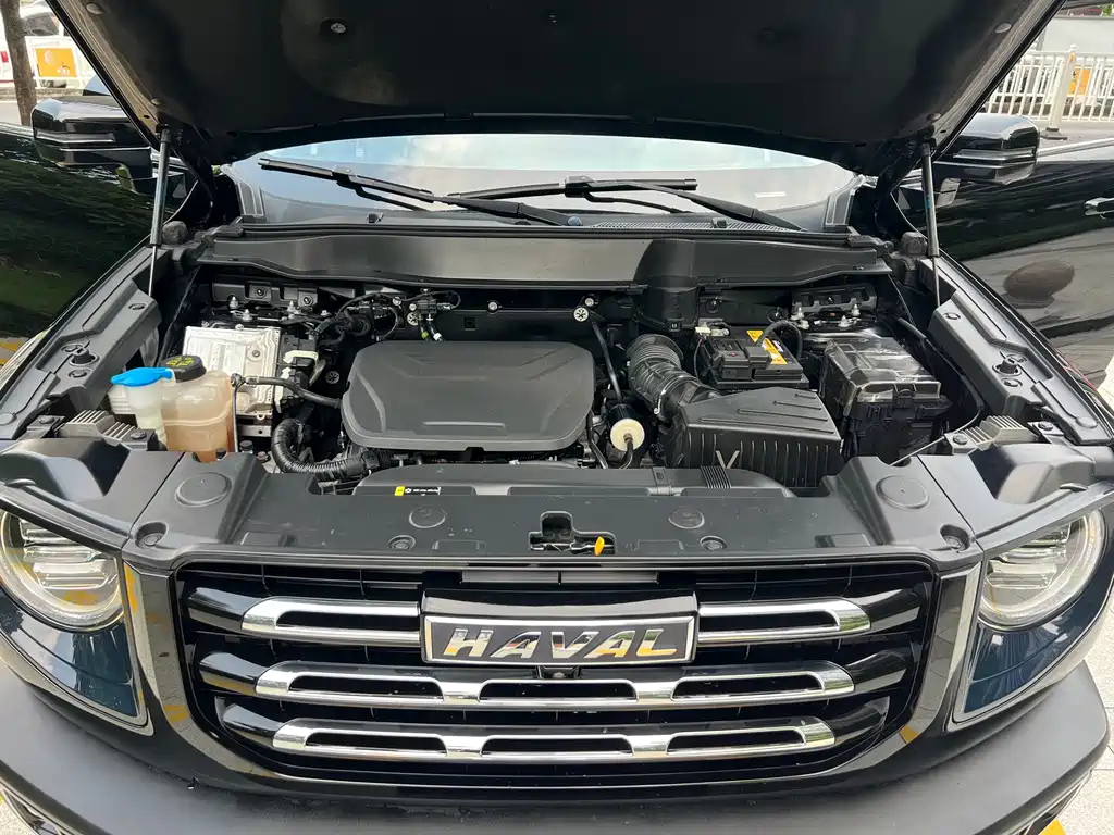 Haval Big Dog 2022 1.5T DCT two-wheel drive Border Collie version купить на сайте DeffCars