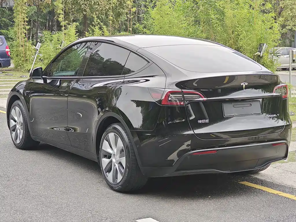 Model Y 2021 standard range rear-wheel drive version купить на сайте DeffCars