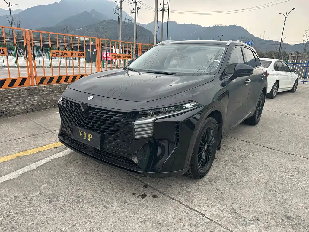 Venucia Big V 2022 260T customized version·idou купить на сайте DeffCars