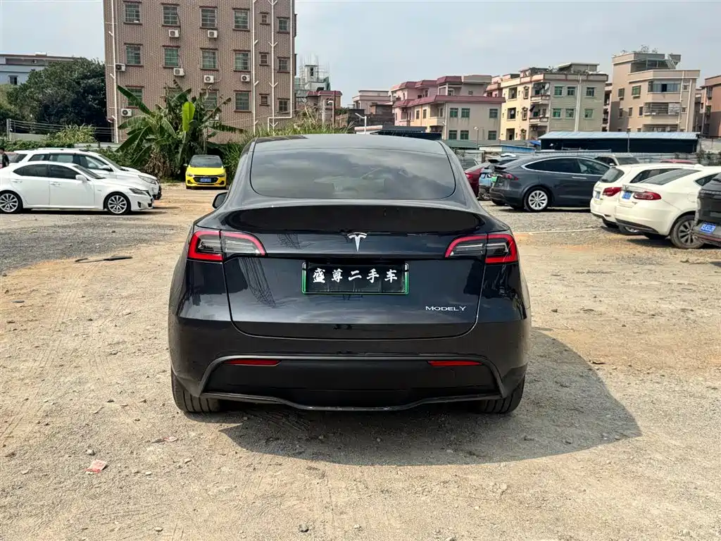 Model Y 2024 rear-wheel drive version купить на сайте DeffCars