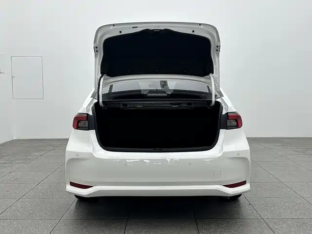 Asia Lion 2021 2.0L Advanced Edition купить на сайте DeffCars