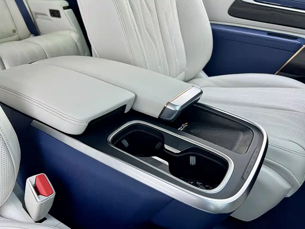 Century 2023 2.0T Six-seater Yuanshi Edition купить на сайте DeffCars