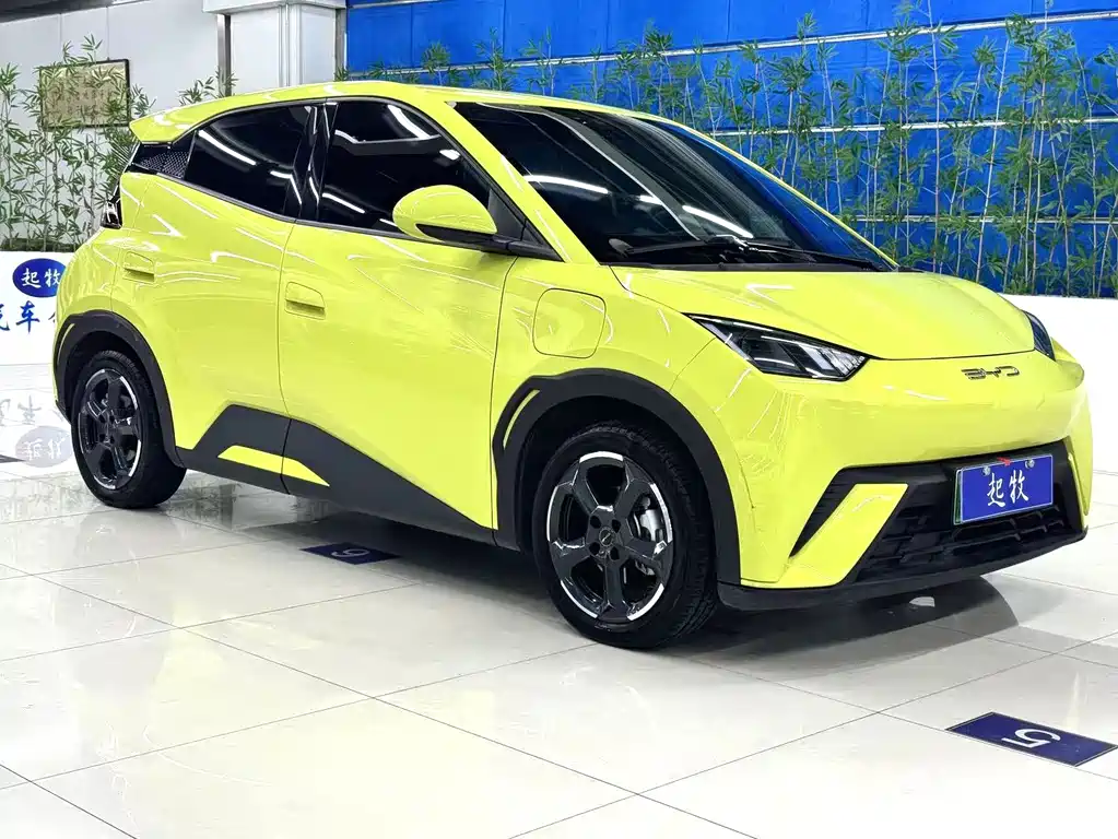 Seagull 2023 Free Edition купить на сайте DeffCars