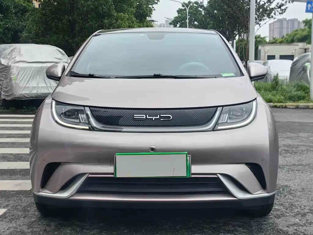 Dolphin 2023 420km Fashion Edition купить на сайте DeffCars