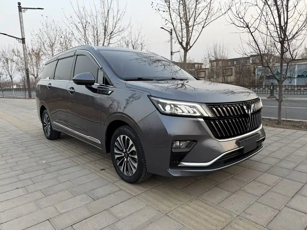 Wuling Jiachen 2022 1.5T CVT exclusive flagship model купить на сайте DeffCars