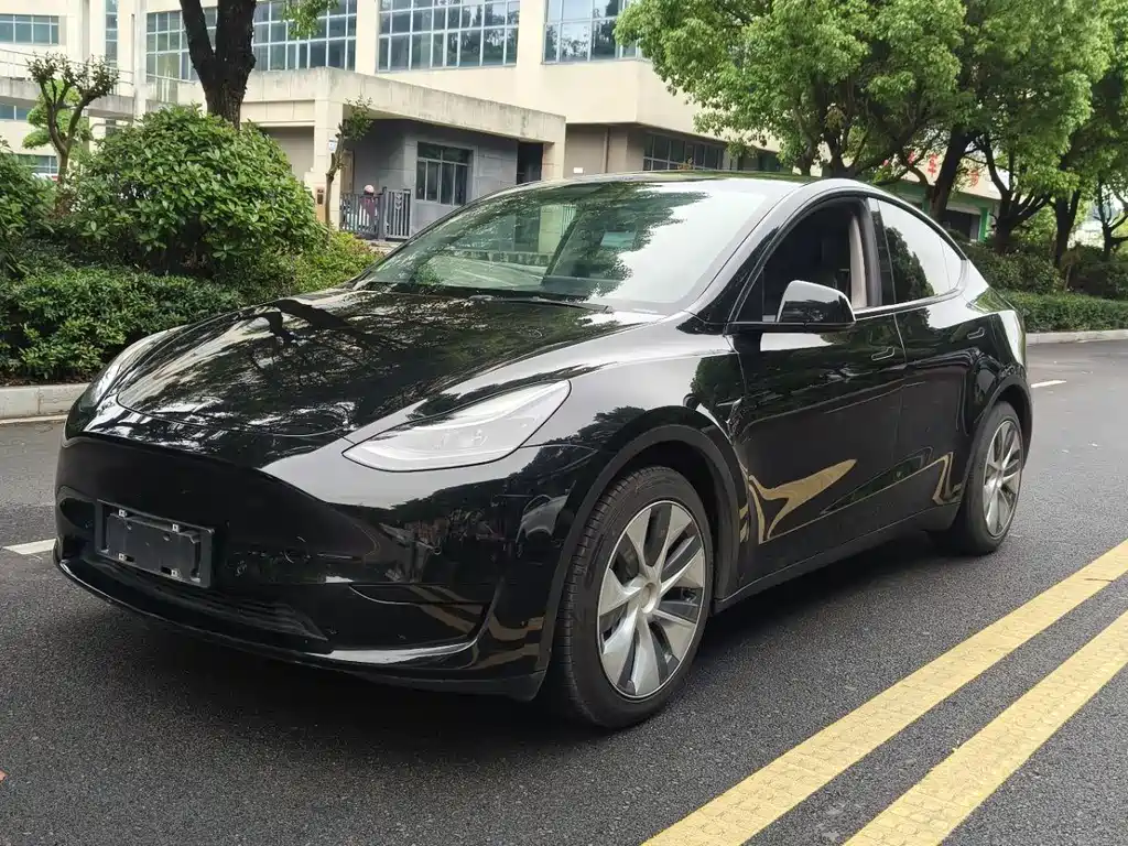 Model Y 2022 rear-wheel drive version купить на сайте DeffCars