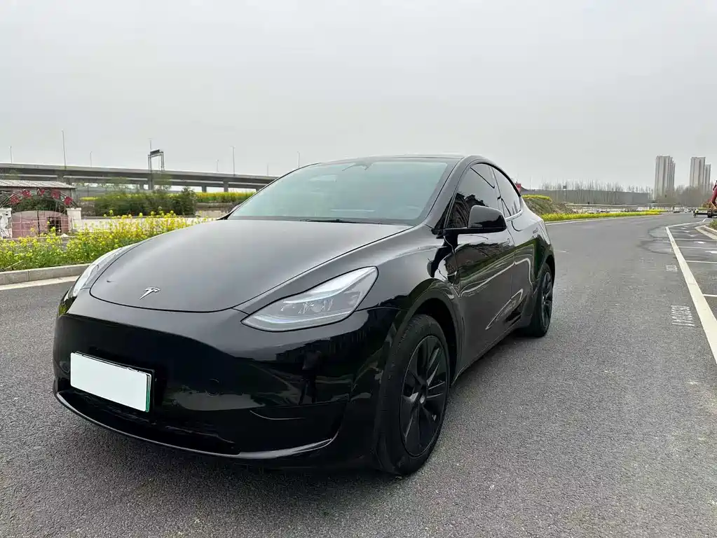 Model Y 2023 rear-wheel drive version купить на сайте DeffCars