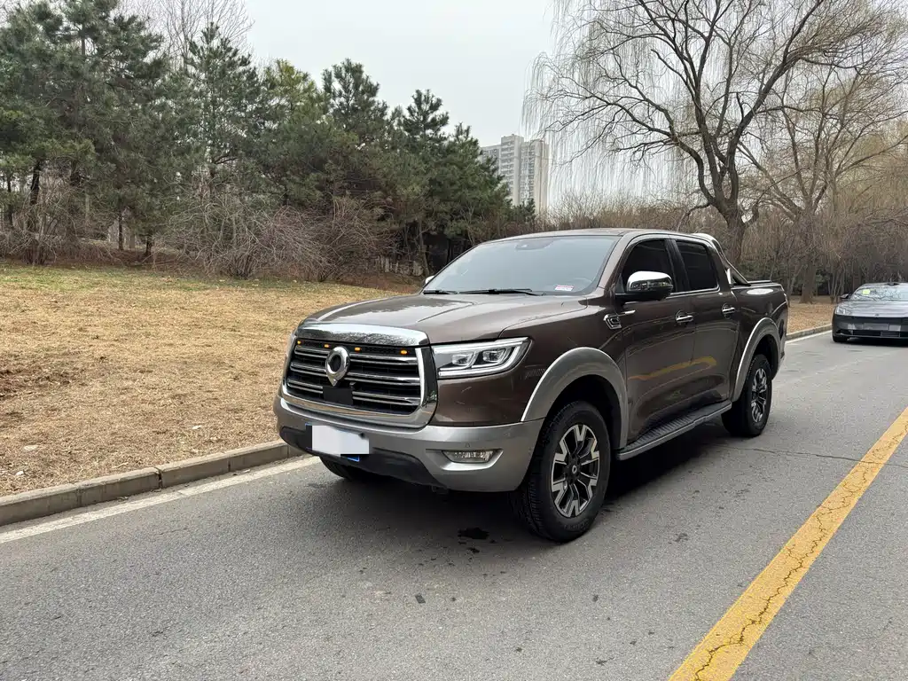 Cannon 2019 2.0T automatic gasoline four-wheel drive exclusive version GW4C20B купить на сайте DeffCars