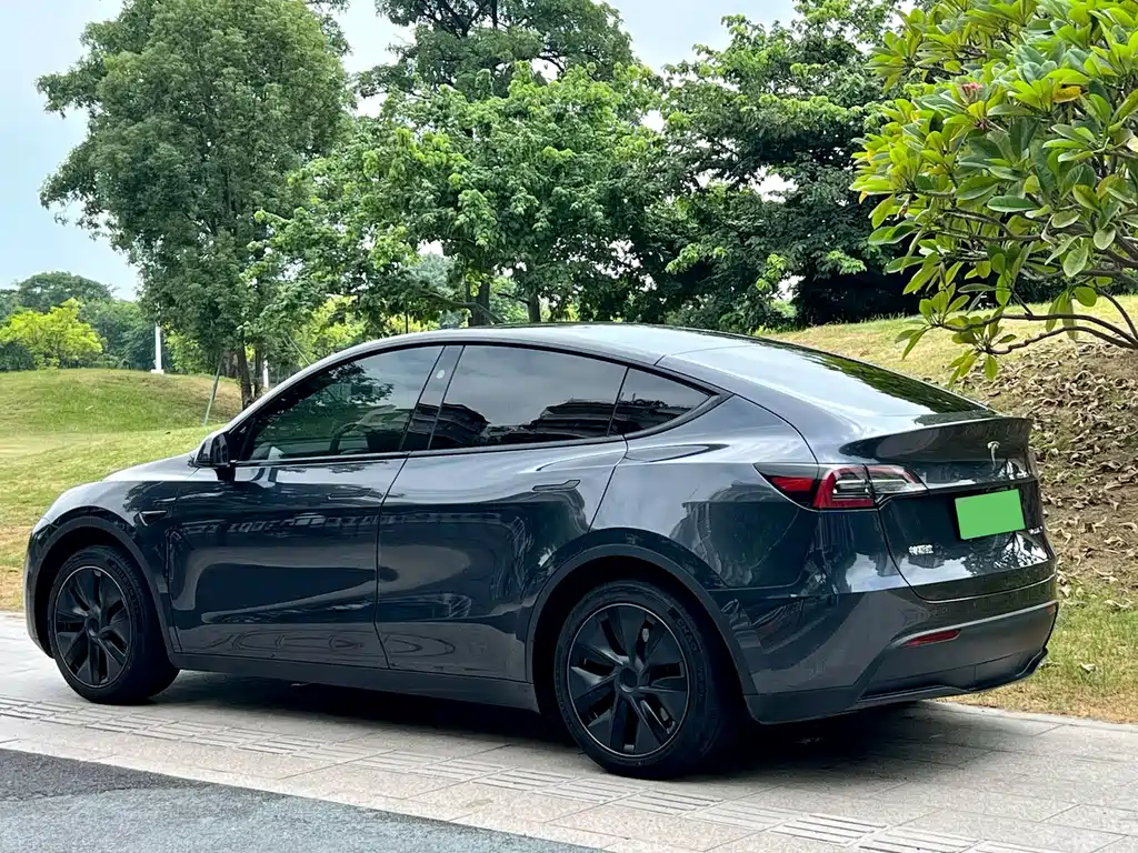 Model Y 2024 rear-wheel drive version купить на сайте DeffCars