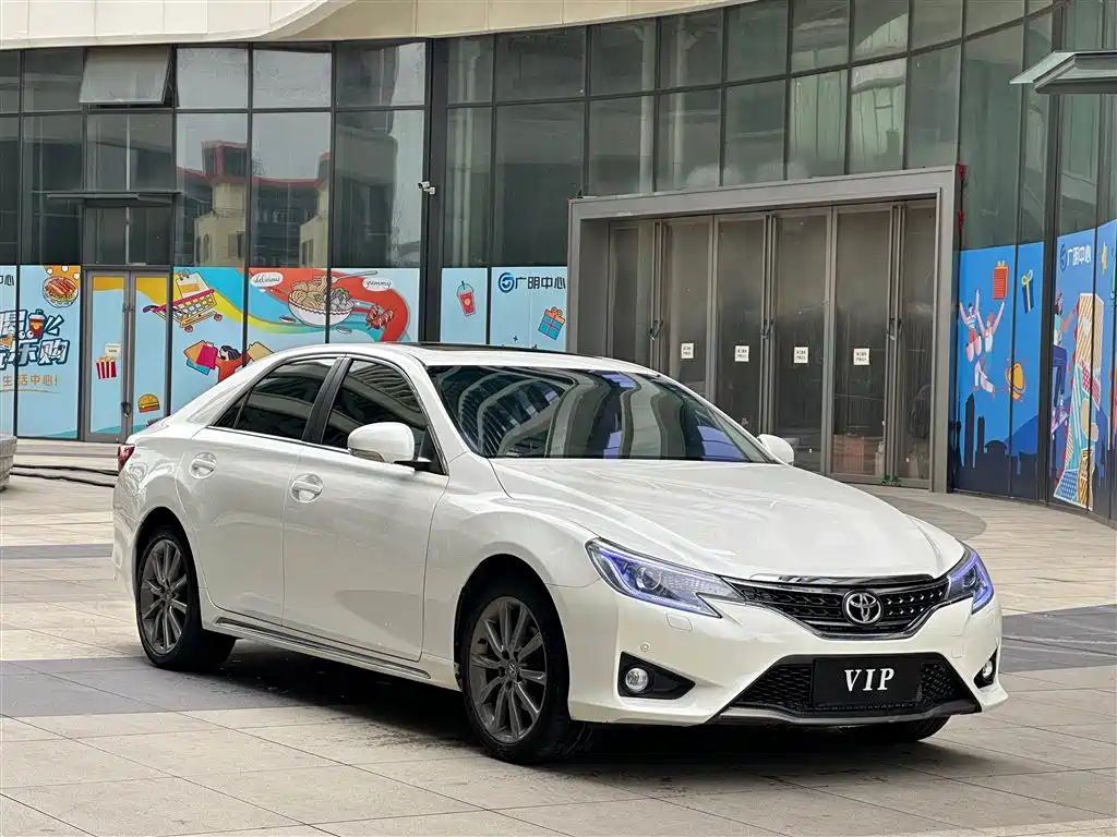 Ruizhi 2013 2.5V Shangrui version купить на сайте DeffCars