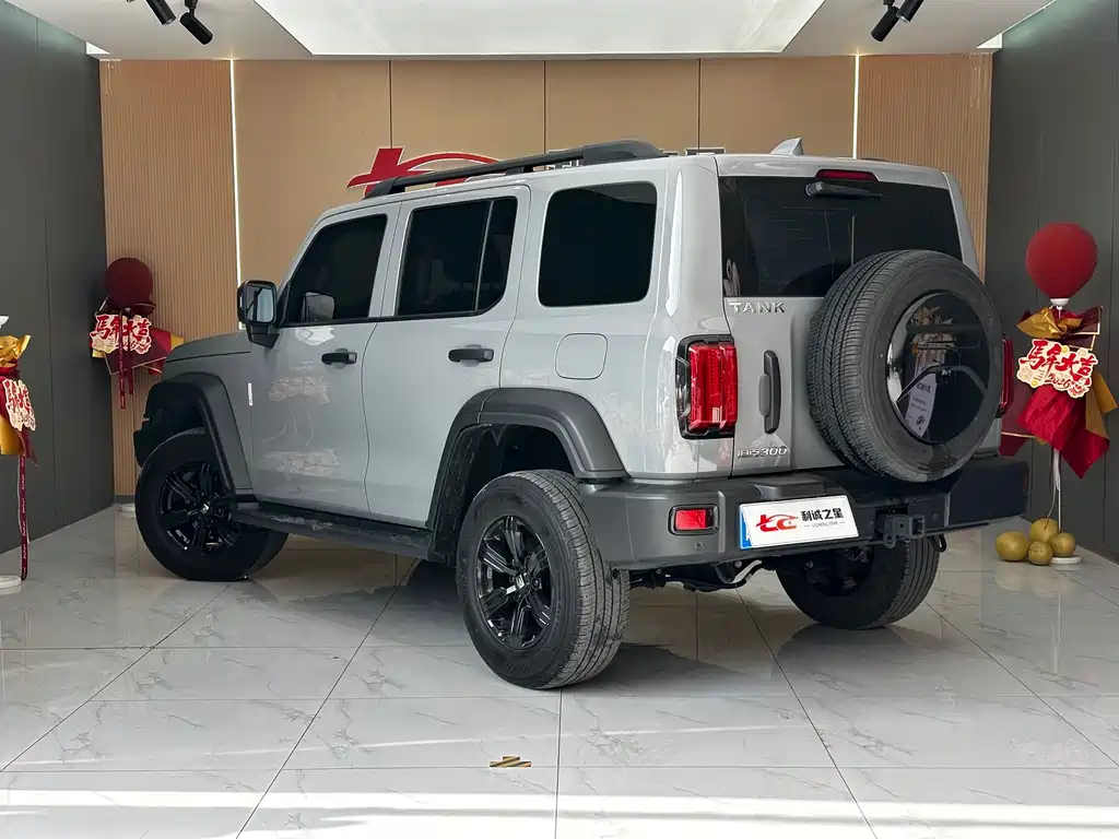 Tank 300 2021 Off-Road Version 2.0T Conqueror купить на сайте DeffCars