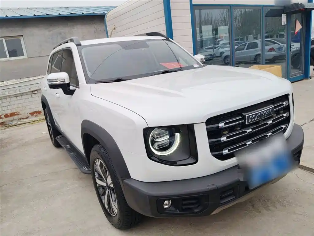Havaldog 2021 1.5T DCT two-wheel drive Labrador version купить на сайте DeffCars