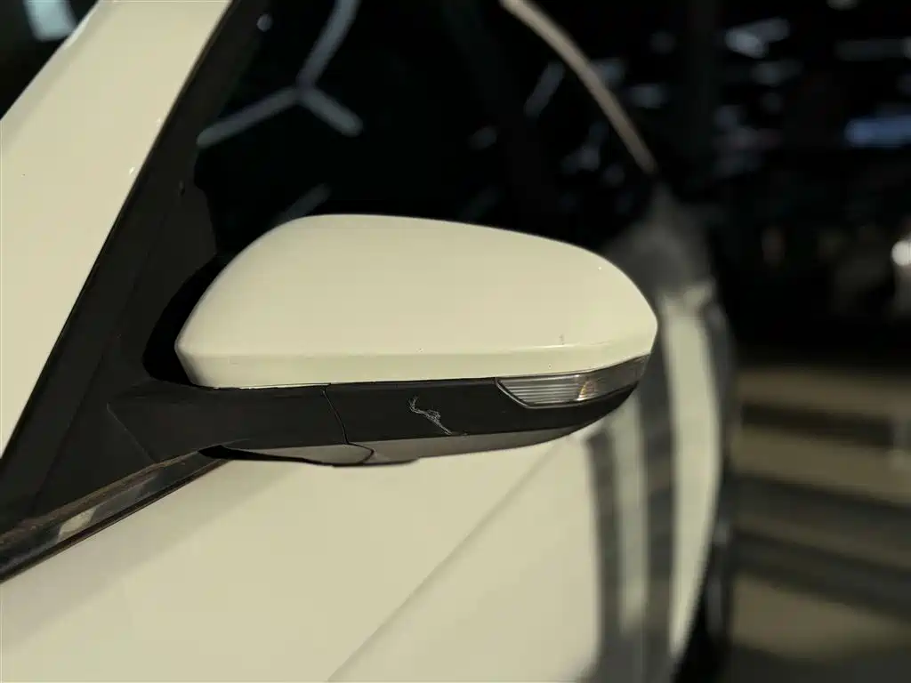 Forex 2019 facelift 1.5L automatic enjoyment type National VI купить на сайте DeffCars