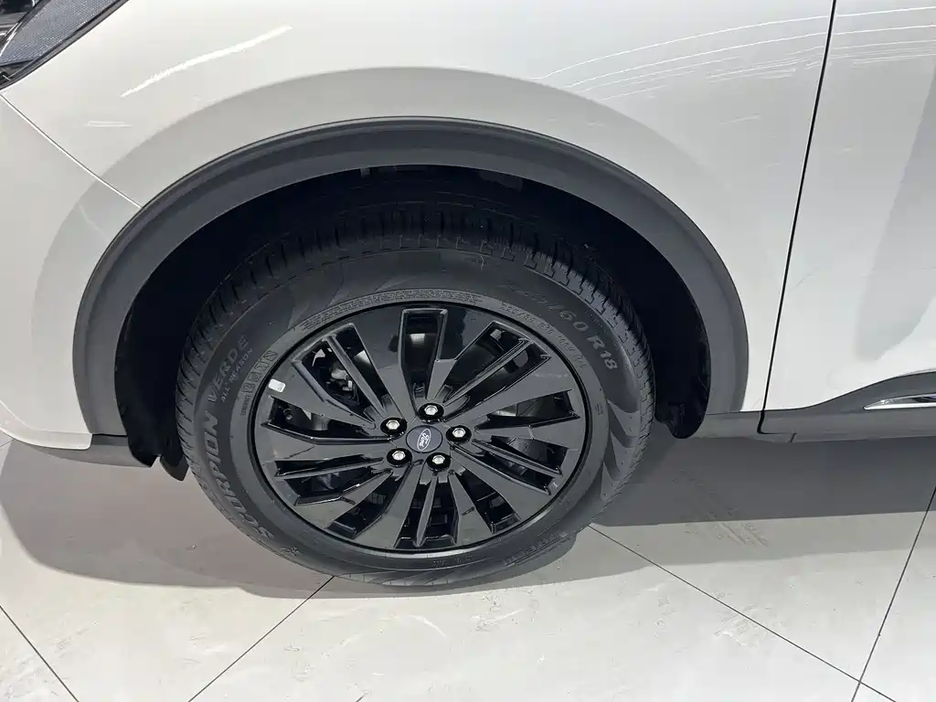 Ruiji 2024 EcoBoost 245 two-wheel drive Yaoxiang model купить на сайте DeffCars