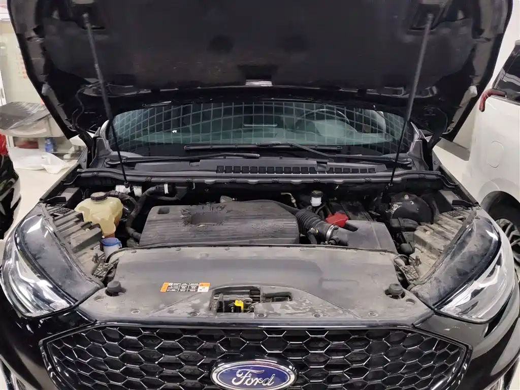Ruijie 2020 EcoBoost 245 2WD ST-Line 5-seater купить на сайте DeffCars