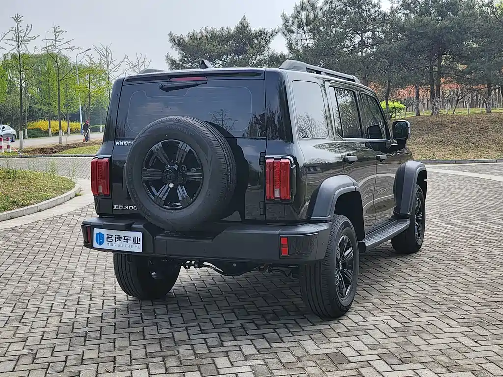 Tank 300 2025 2.0T Gasoline Conqueror купить на сайте DeffCars