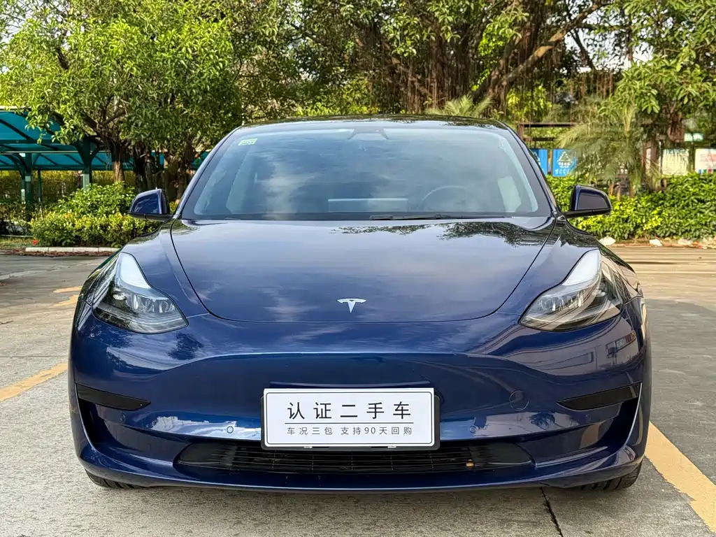 Model 3 2021 Standard Range Rear Drive Upgraded Version купить на сайте DeffCars