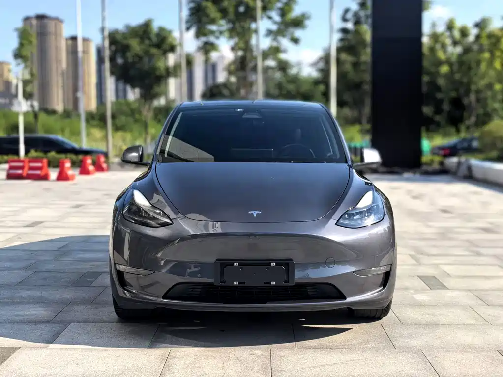 Model Y 2021 long-range all-wheel drive version 3D7 купить на сайте DeffCars