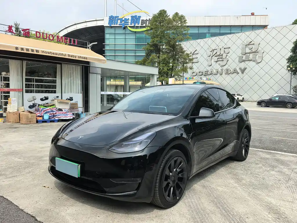 Model Y 2023 long-range all-wheel drive version купить на сайте DeffCars