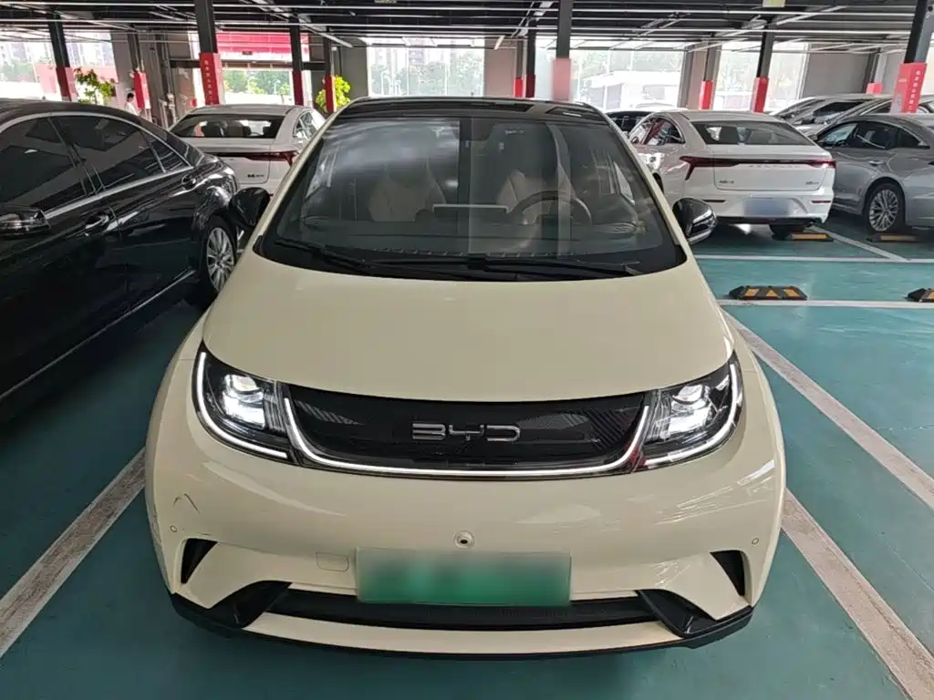 Dolphin 2023 420km Fashion Edition купить на сайте DeffCars