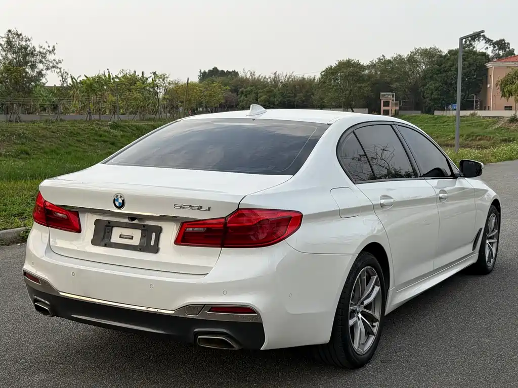 BMW 5 Series 2019 525Li M Sports Package купить на сайте DeffCars