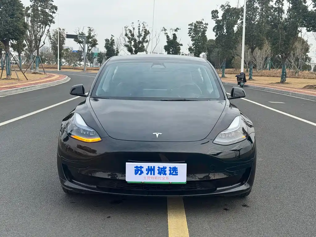 Model 3 2022 rear-wheel drive version купить на сайте DeffCars