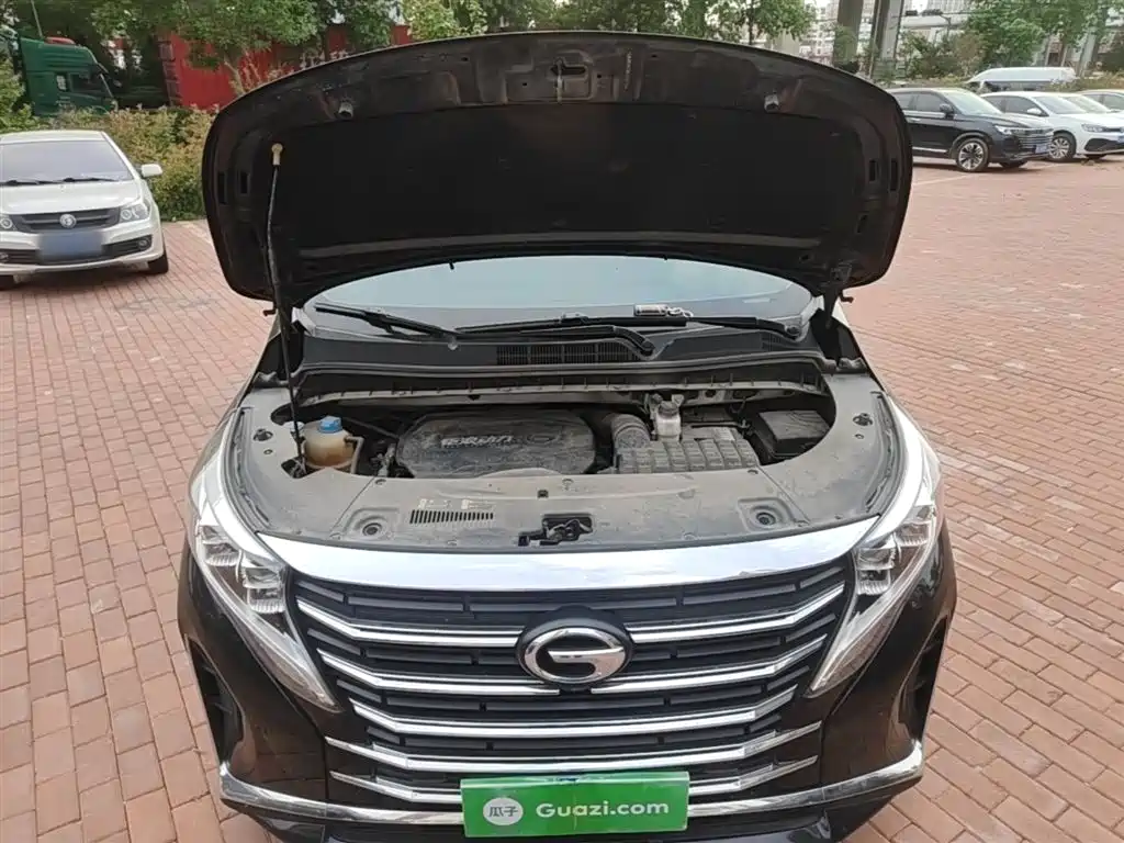 Trumpchi M8 2023 Lingxiu Series 390T Premium Edition купить на сайте DeffCars