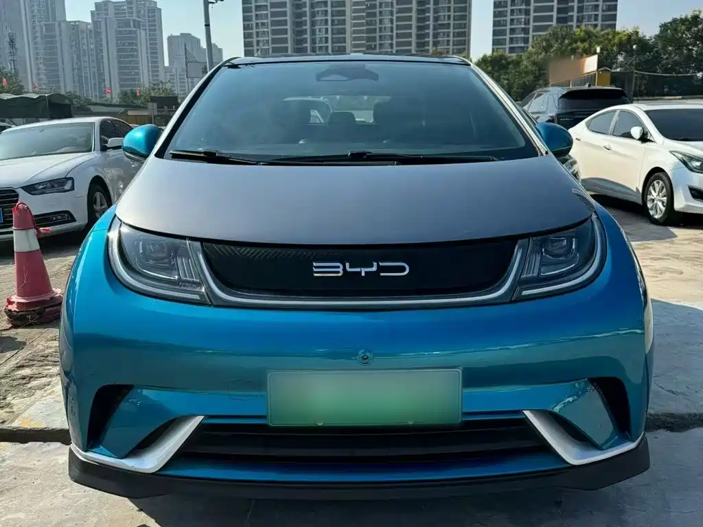Dolphin 2021 401km Rider Edition купить на сайте DeffCars