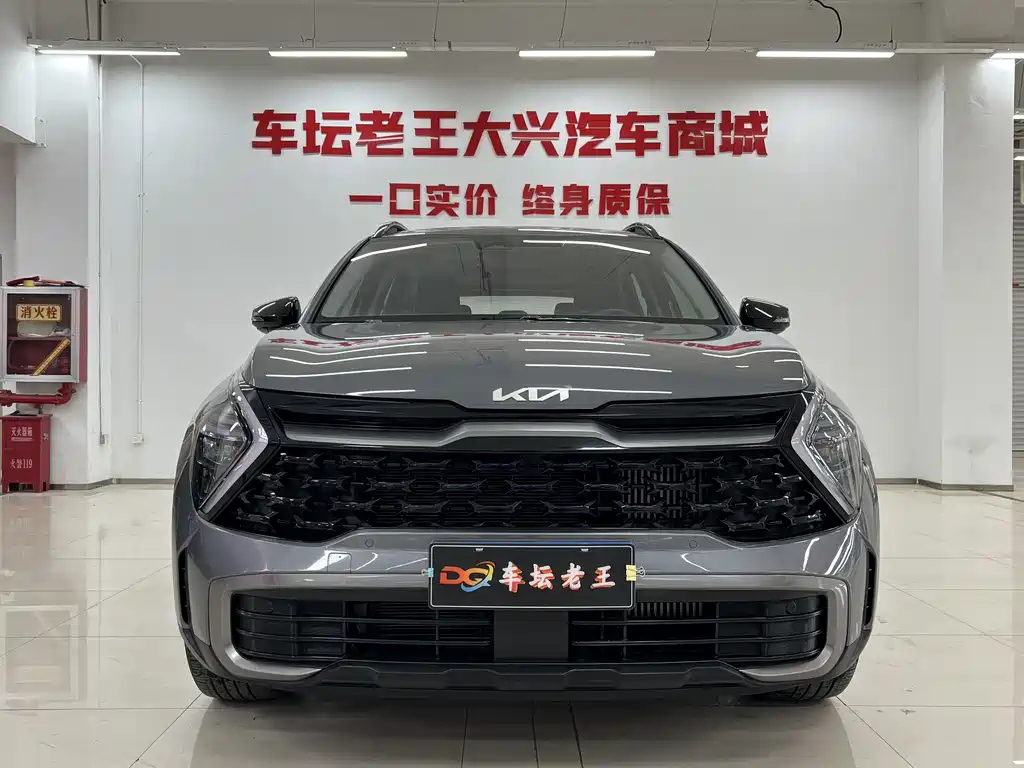 Lion Platinum Extends the World 2023 2.0T Two-wheel Drive Premium Edition купить на сайте DeffCars