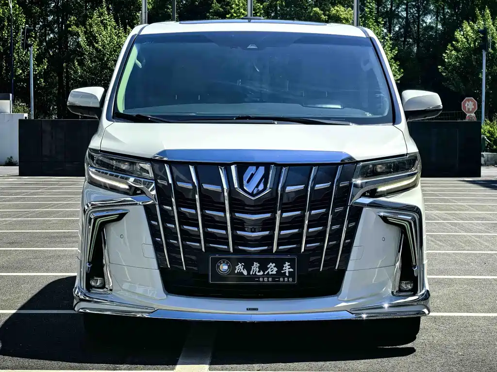 Alfa 2019 Dual Engine 2.5L Deluxe Edition купить на сайте DeffCars
