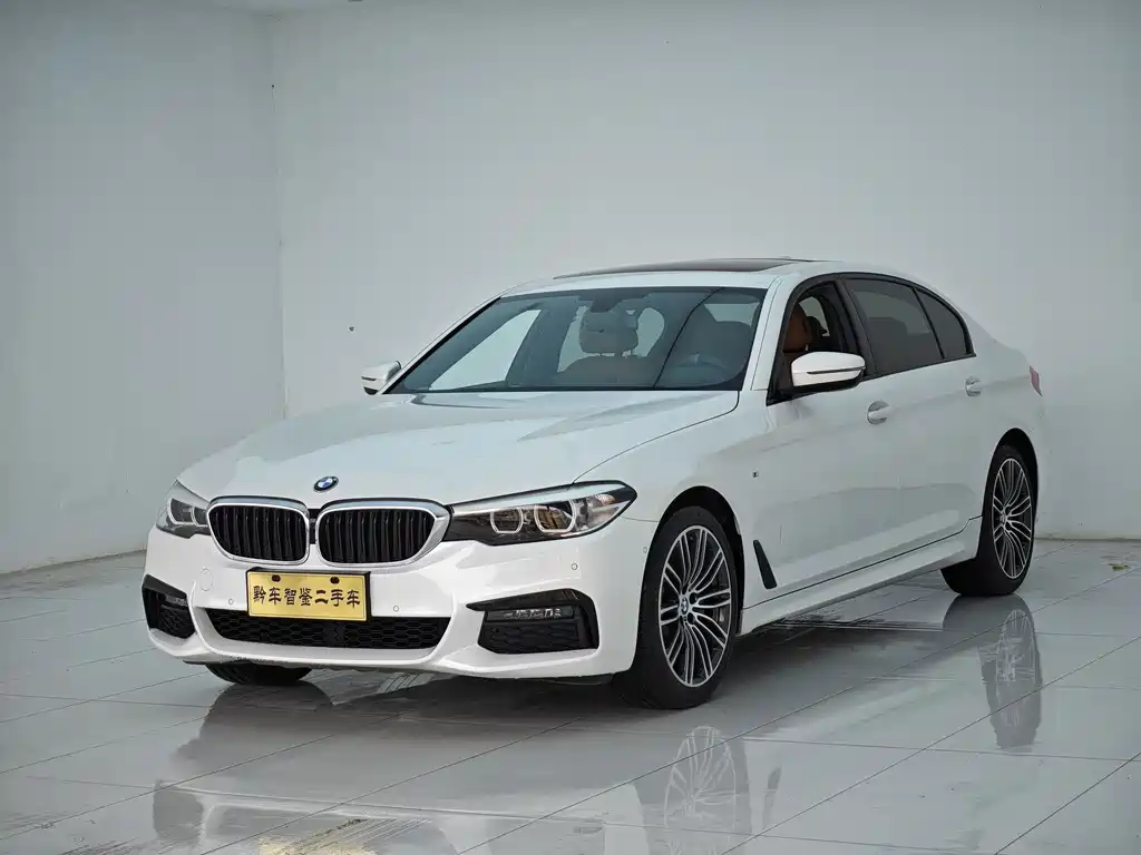 BMW 5 Series 2019 530Li Leading M Sports Package купить на сайте DeffCars