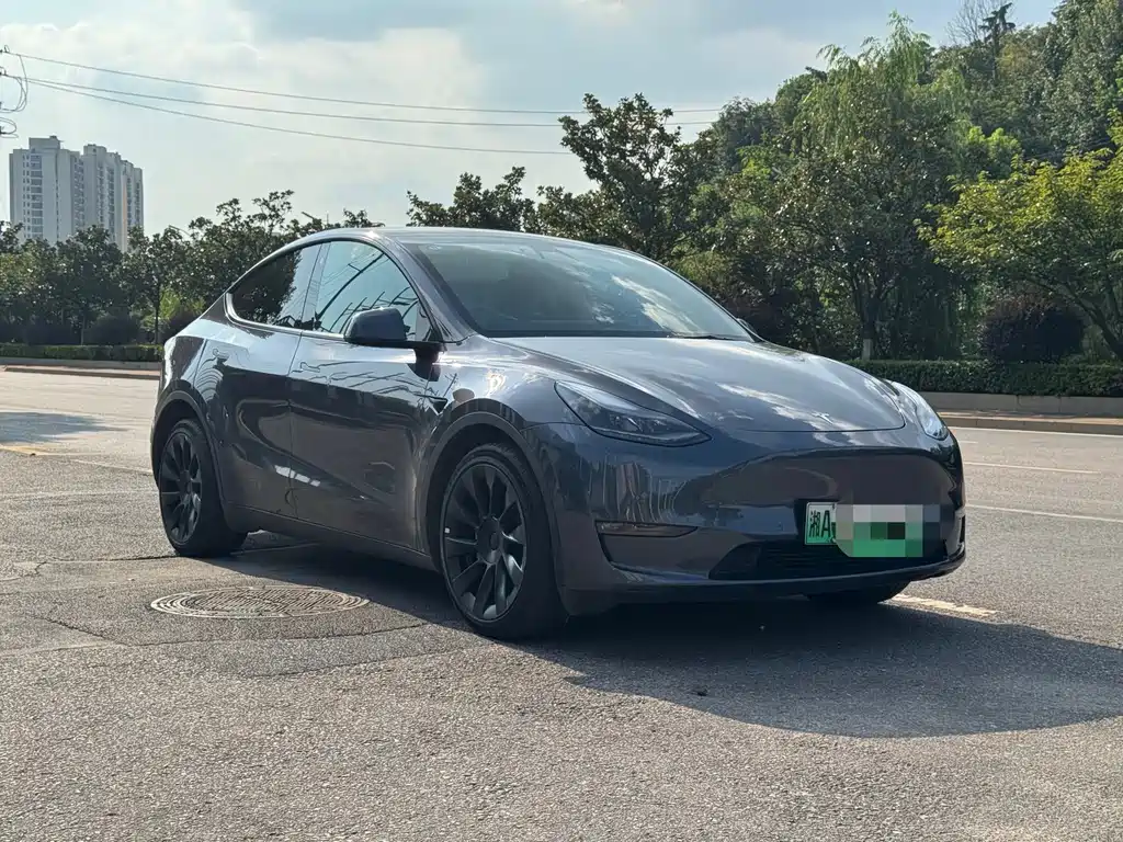 Model Y 2021 Long Range All-Wheel Drive Edition купить на сайте DeffCars