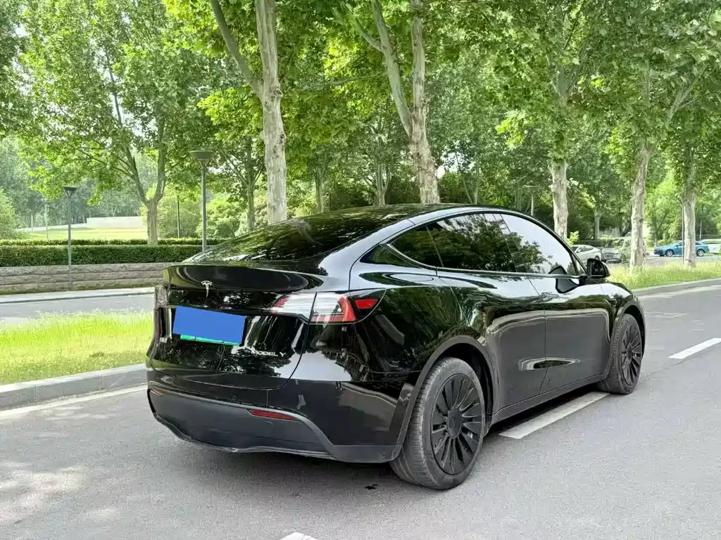 Model Y 2023 rear-wheel drive version купить на сайте DeffCars