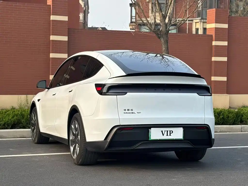 Model Y L 2025 long-range all-wheel drive version купить на сайте DeffCars